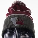 Holloway Reflective Pom Beanie - Montana Paw