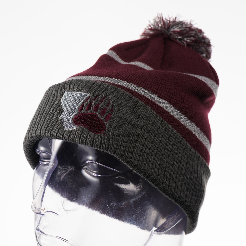 Holloway Reflective Pom Beanie - Montana Paw