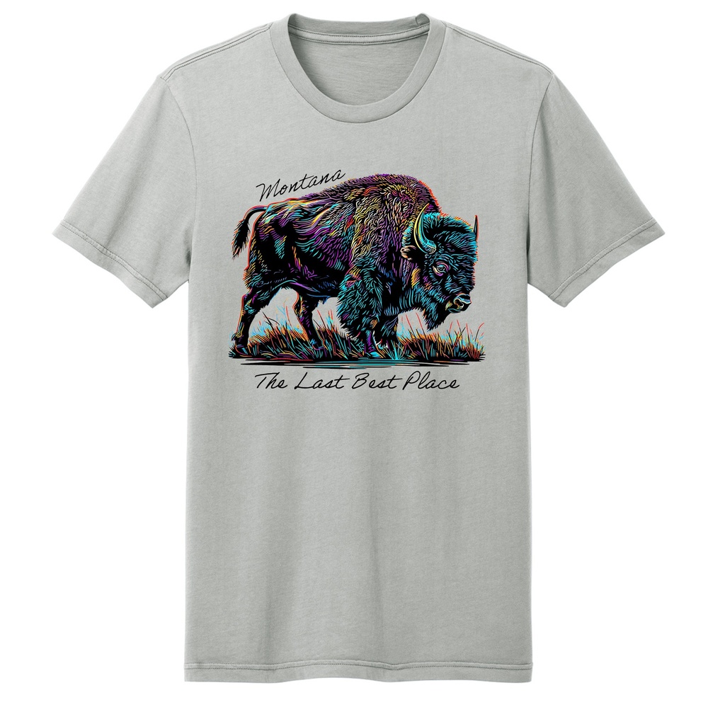 Many-Color Bison - Wash Tee