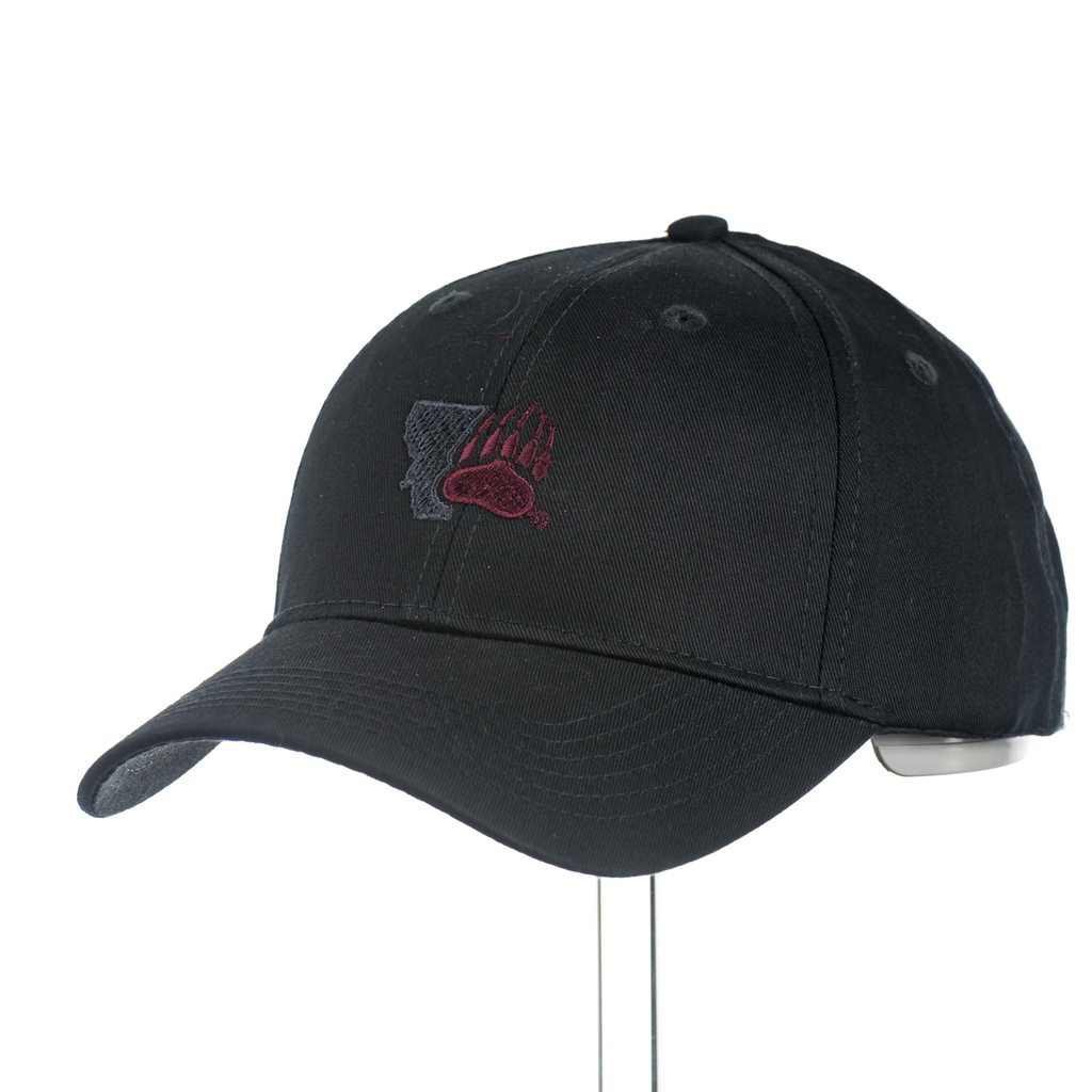 Montana w/ Griz  Paw - Youth Cap