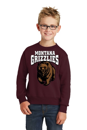 Charging Bear Youth Core Fleece Crewneck