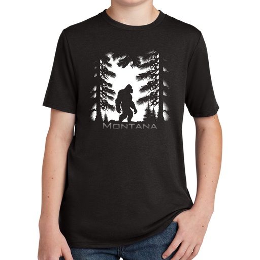 Bigfoot Dark Forest Montana - Youth Tri Tee