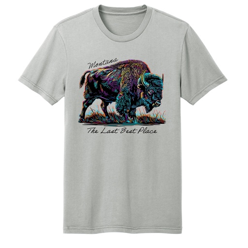 Many-Color Bison - Wash Tee